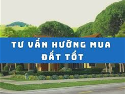 Tư Vấn Hướng Mua Đất Tốt Cho Môi Trường Sống Lý Tưởng - Nhà Đất Văn Minh